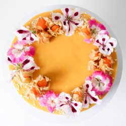 Mango passion kakku